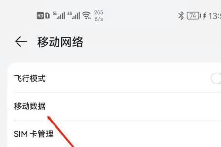 数据漫游啥意思