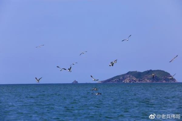 大连靠近的大海，是什么海