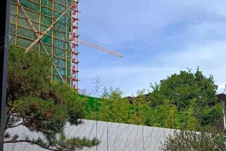 荣和观江墅和彰泰江景湾哪个好
