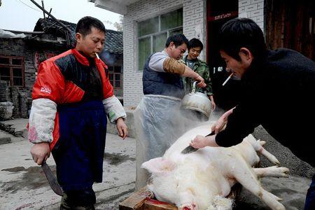 杀猪怎么算出了多少肉