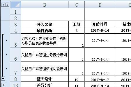 项目进行是什么意思