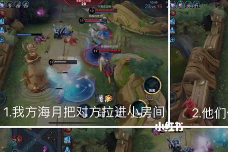 海月什么时候开大