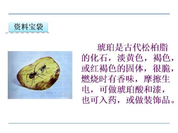 琥珀有什么科学价值解答四年级
