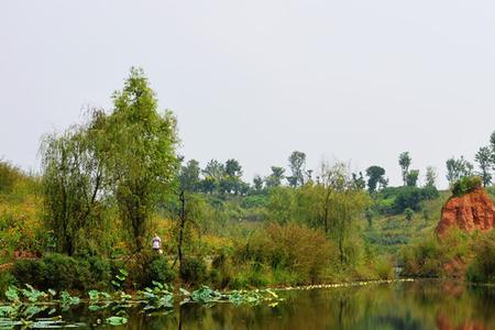 白鹭湾生态湿地公园怎么样