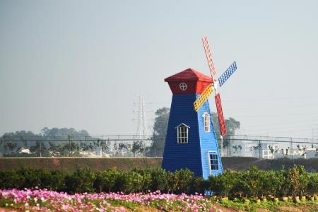 呼和浩特市七彩花田怎么样