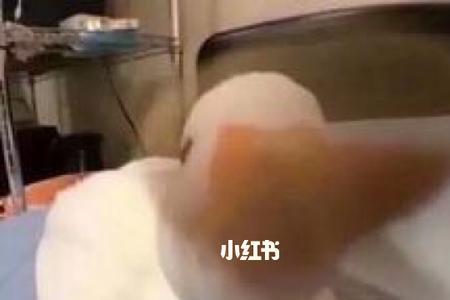 吸溜吸溜表情包什么意思