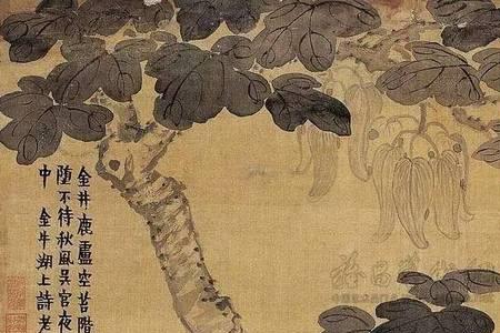 萧萧顾乐鸣是什么意思