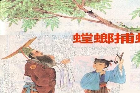 螳螂捕蝉,不计后患什么意思
