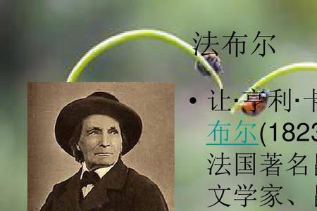 昆虫记，主要情节介绍