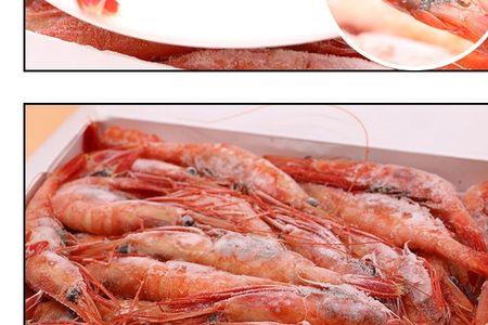 腹带籽北极虾季节什么时候有