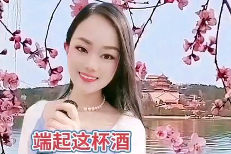 端起这杯酒的歌词