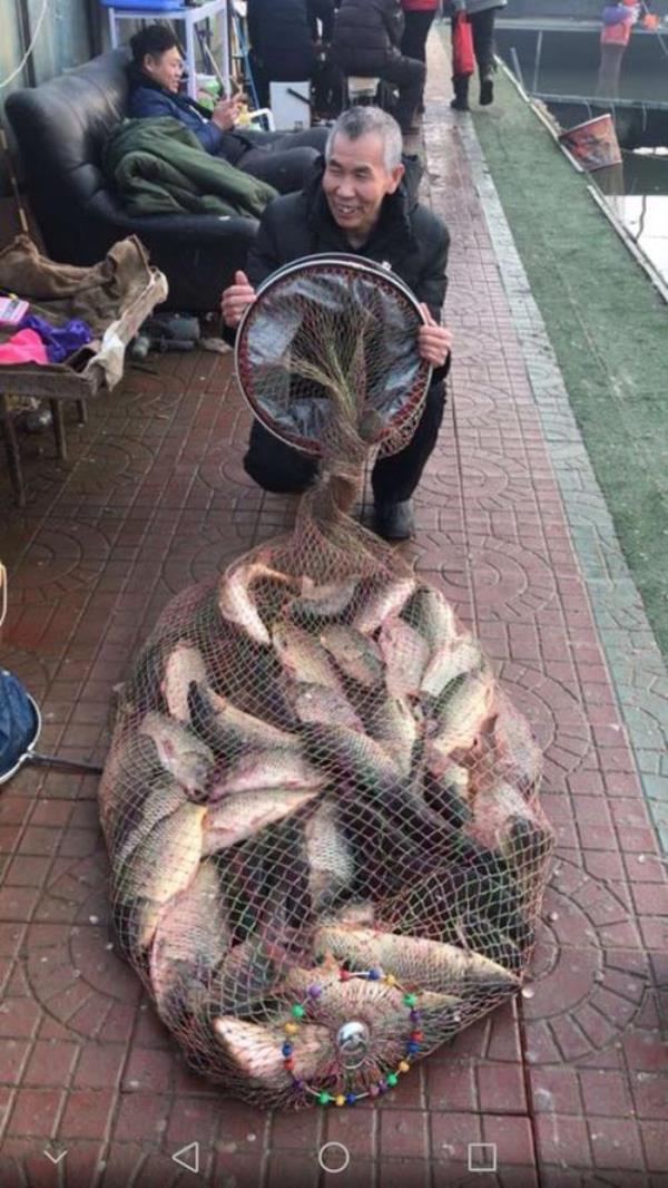 秋季江苏鲤鱼大棚怎么钓