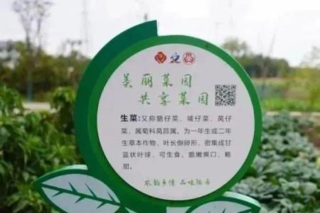 租十亩地搞共享菜园要什么手续