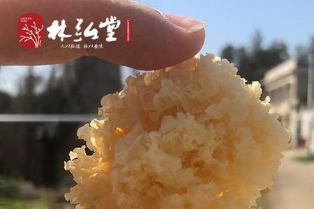 木耳不出胶补救办法