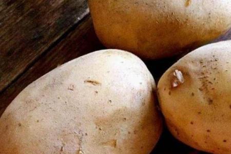 炖土豆吸水吗