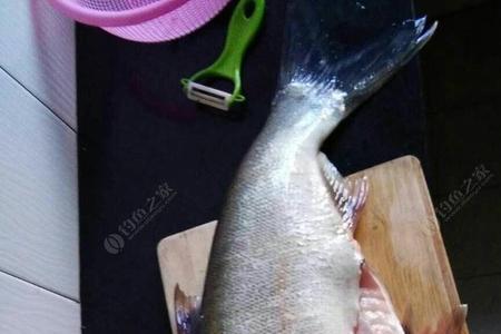 三米深的水钓花鲢漂调多深