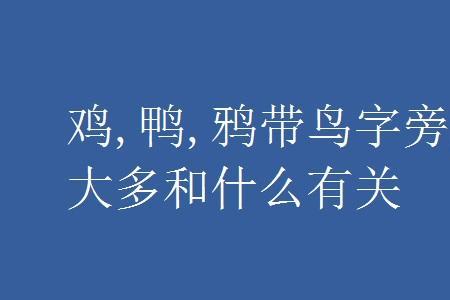 舯字和什么有关