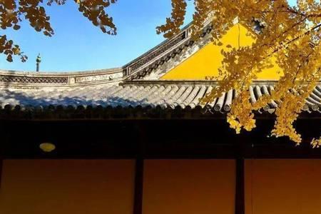枯枝叶底待欣阳是什么意思