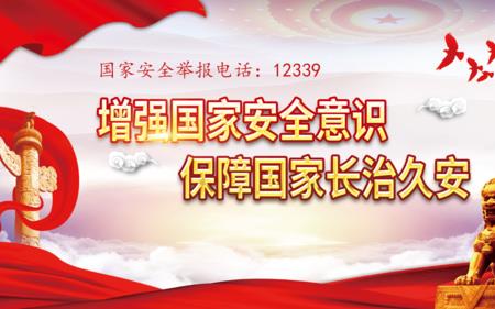 保障国是什么意思