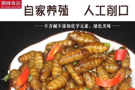 蚕蛹，金蝉都是什么