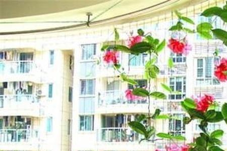 飘香藤枝干空了还有救吗