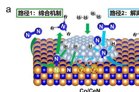 电化学合成氨原理