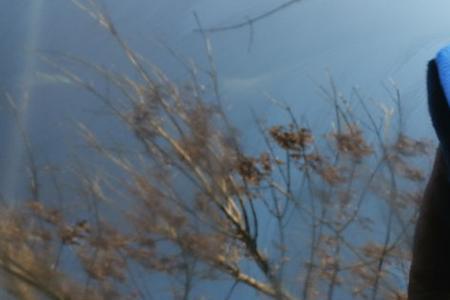 火山泥可以去除汽车油膜吗