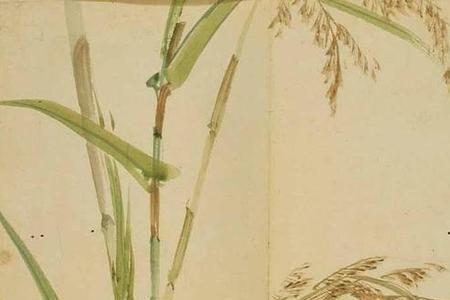 山药在诗经里出现过吗
