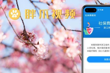 辽宁大额医保怎么在手机上缴费