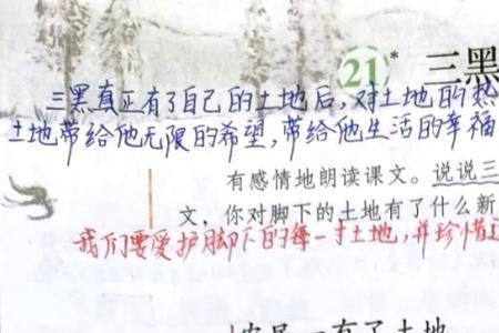 三黑和土地的比喻句仿写