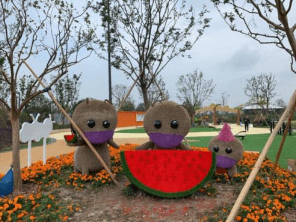 小鲤鱼公园有什么