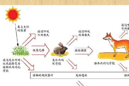 物质流包括