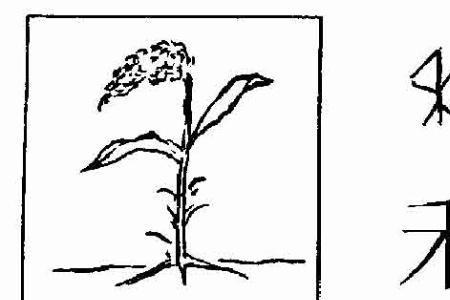 请问禾字下加个弓是什么字