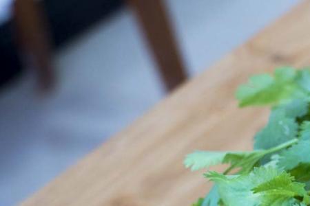 香菜保存冰箱方法