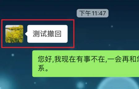 发在吗然后马上撤回什么意思