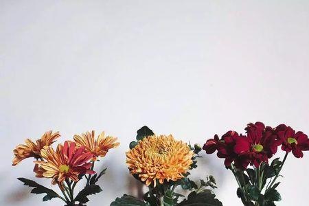 坦然自在的意思是什么