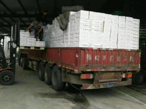 一车啤酒多少件