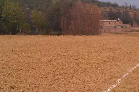 11亩等于多少平方