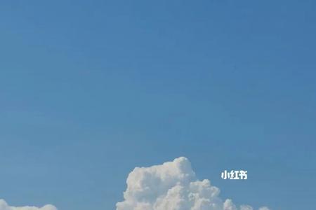 万事随想所爱如山啥意思