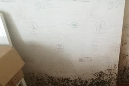 房间里地砖进水的危害