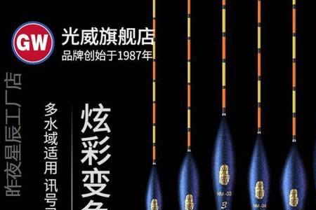 天天钓鱼龙是什么漂