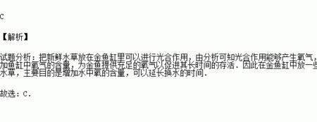 鱼缸怎么增加水中的矿物质