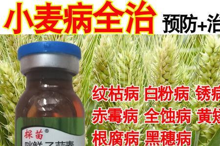 小麦杀菌剂哪个好