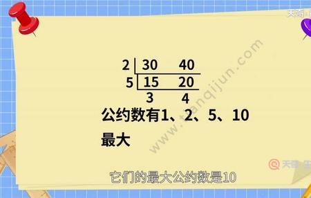 51的公因数有哪些