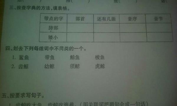摆的组词有哪些呢