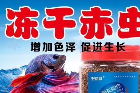 鱼饲料有虫子还能用吗
