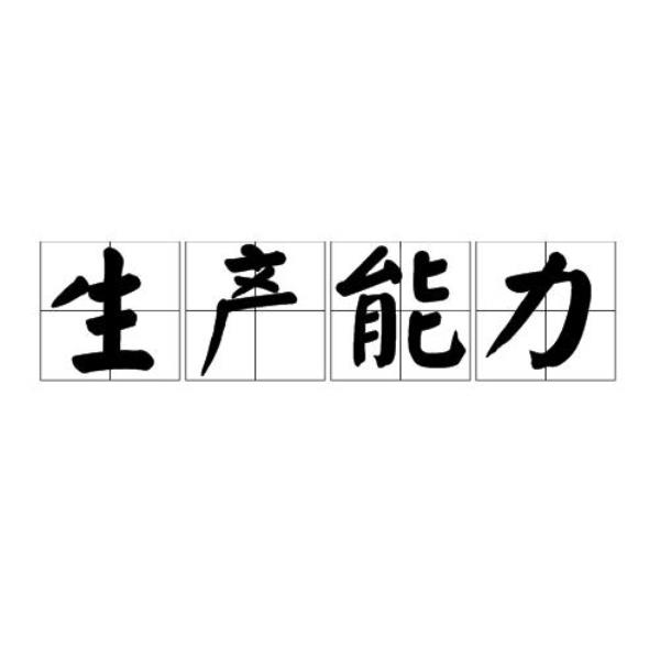 生产能力怎么填写