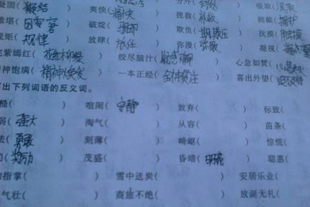 不理你近义词