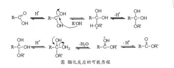什么是酯化反应，消去反应