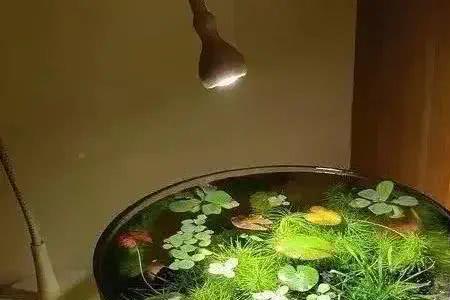 自来水困多久入缸